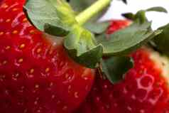 草莓水果白色背景