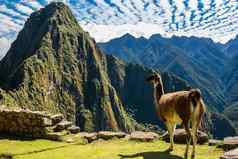 火焰“马丘比丘比丘废墟秘鲁安第斯山脉库斯科秘鲁