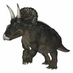 恐龙diceratops