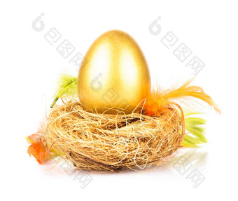 金蛋巢