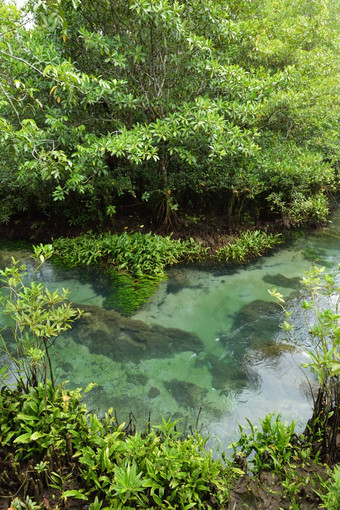 塔砰的一声自然小道水晶流甲米泰国