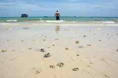 螃蟹健康标志着KOH学海滩芭堤雅泰国