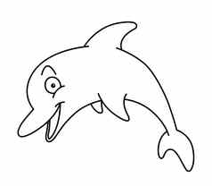 海豚行艺术