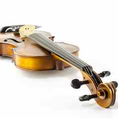 音乐字符串仪器小提琴孤立的白色