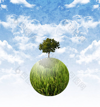 植物树停止全球提醒可持续发展的概念