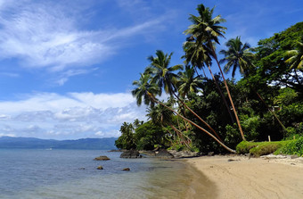 棕榈树海滩瓦莱武岛斐济
