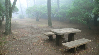 木板凳上有雾的公园