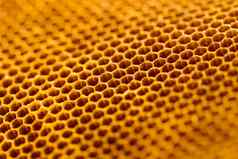 美丽的蜂窝蜂蜜纹理