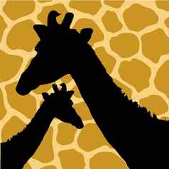 插图长颈鹿隐藏模式长颈鹿