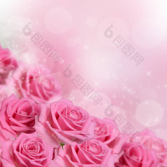 粉红色的玫瑰背景