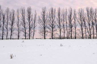 农村冬天景观