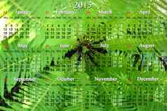 日历一年背景蕨类植物