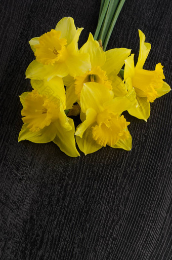 黄色的淡黄色花