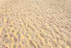 纹理沙子的足迹沙子