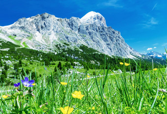 惊人的阿尔卑斯景观夏天季节意大利<strong>白云石山脉</strong>