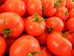 红色的西红柿背景集团西红柿