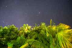 马尔代夫的岛晚上视图手掌星星