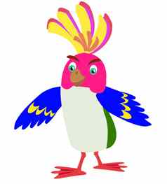 各种各样颜色的热带鹦鹉