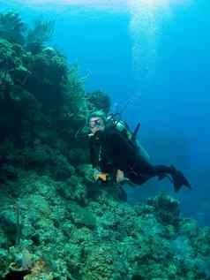 墙潜水开曼群岛岛屿