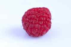 美丽的选择新鲜选成熟的红色的树莓