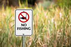 钓鱼允许