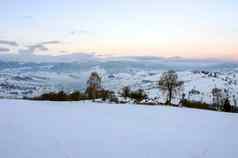 冬天平静山景观Rime雪覆盖云杉