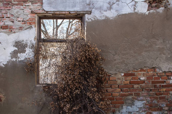 窗口墙被遗弃的房子