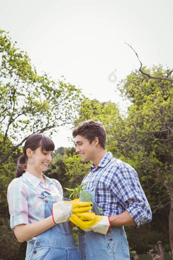 年轻的夫妇持有<strong>树苗</strong>