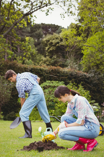 年轻的女人种<strong>植树苗</strong>