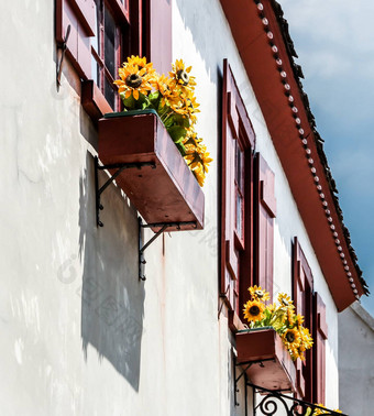 flowerboxes