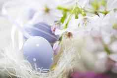 复活节鸡蛋樱桃花朵