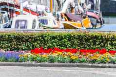 色彩鲜艳的花床上背景港
