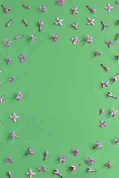 春天淡紫色花框架