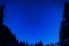 森林蓝色的黑暗晚上天空