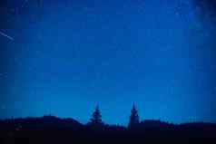 黑暗蓝色的晚上天空神秘森林