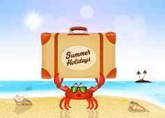 蟹手提箱夏天假期