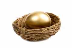 金蛋铺设巢