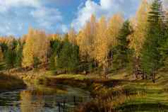 黄色的秋天河