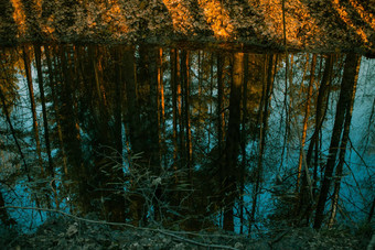 松森林反映了水日落