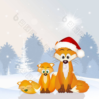 红色的狐狸fmily圣诞节