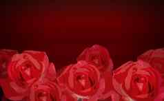摘要甜蜜的红色的玫瑰花束黑暗红色的背景电磁脉冲