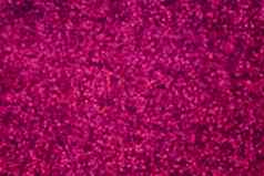 小紫罗兰色的甜蜜的植物区系开花粉红色的散景光闪耀照