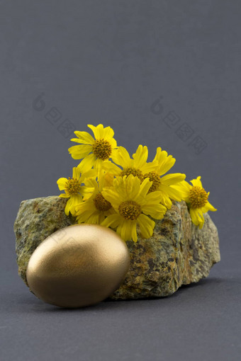 黄金巢<strong>蛋</strong>前面自然岩石黄色的花