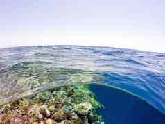 水下表面分裂视图热带地区海
