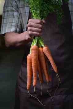 有机水果蔬菜农民手新鲜收获胡萝卜