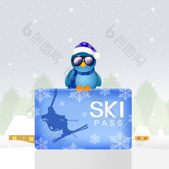 鸟滑雪通行证