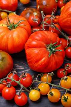 分类新鲜的西红柿