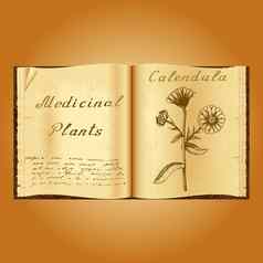 聚植物插图医疗植物书草药医生开放书