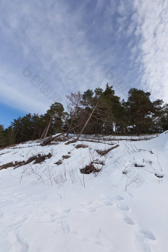 冬天雪海海岸波罗的海海拉脱维亚索尔克拉斯蒂