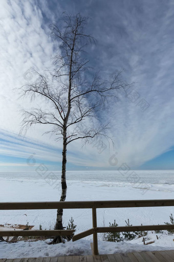 冬天雪海海岸波罗的海海拉脱维亚索尔克拉斯蒂